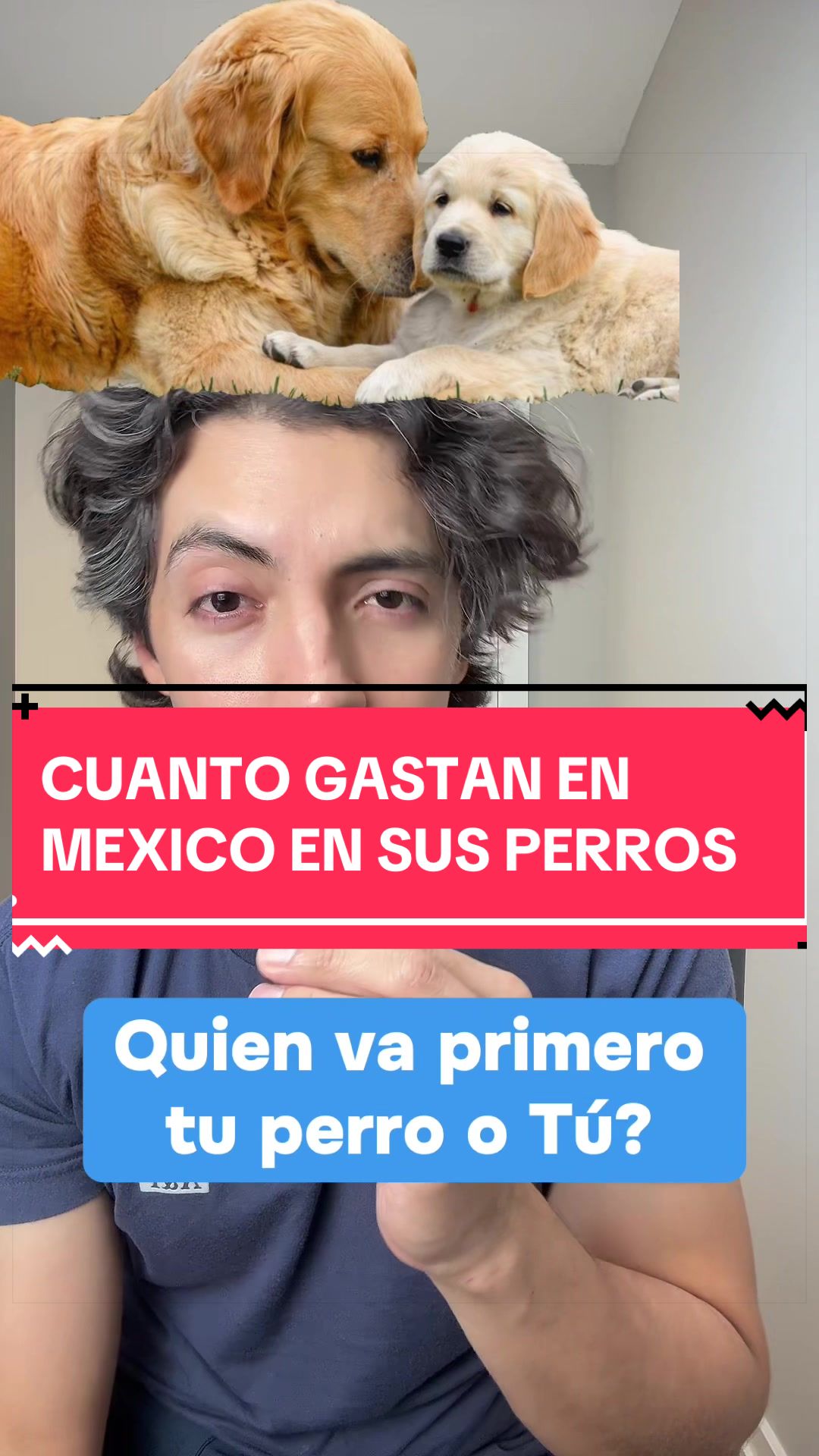 @bert_negocios