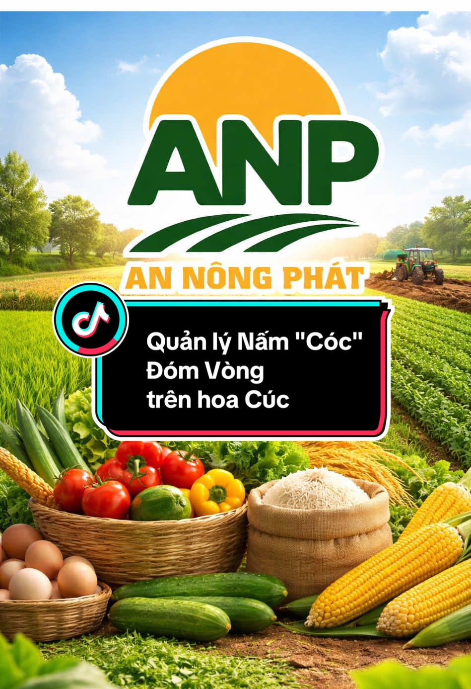 @H&acirc;n chuy&ecirc;n b&aacute;n ph&acirc;n thuốc