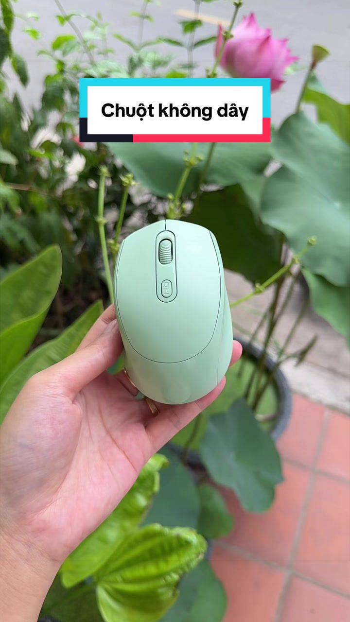 @Tuấn Bình Thường