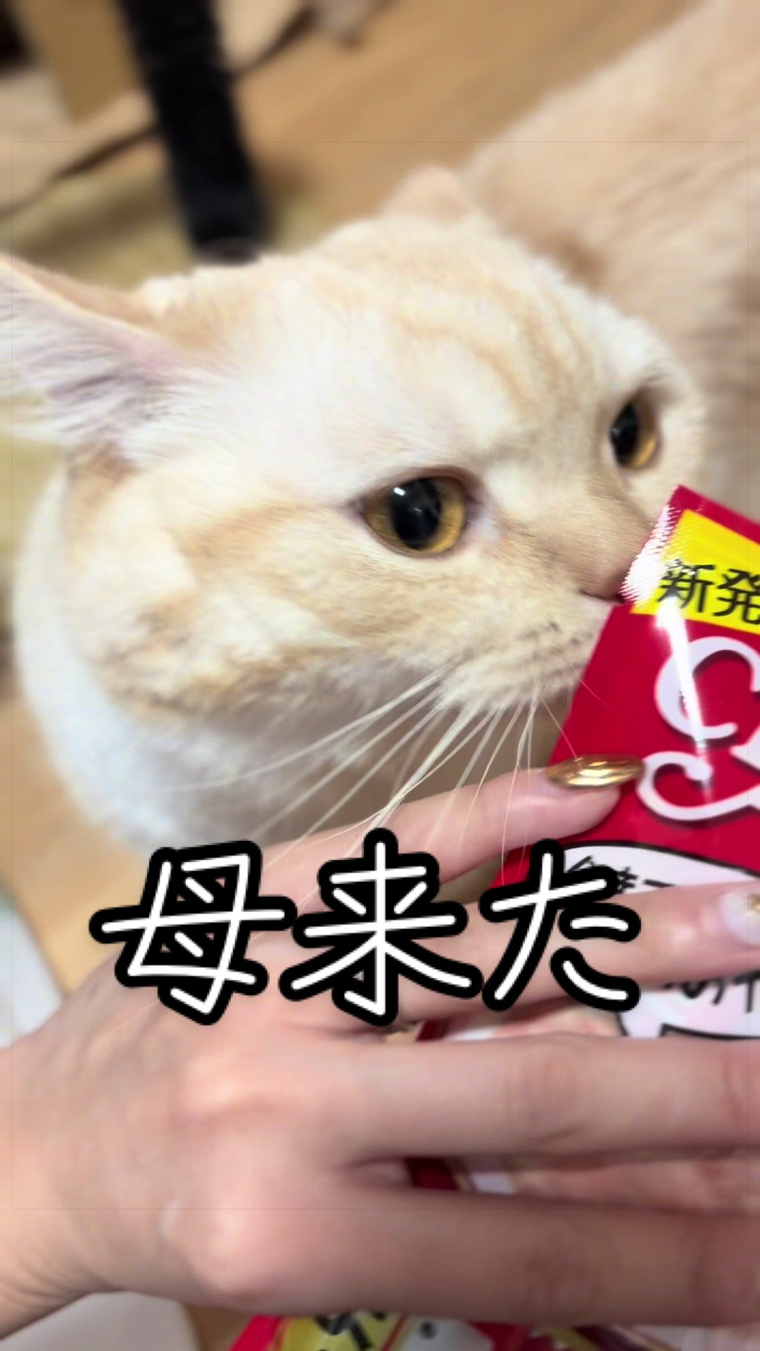 @縫くんと私