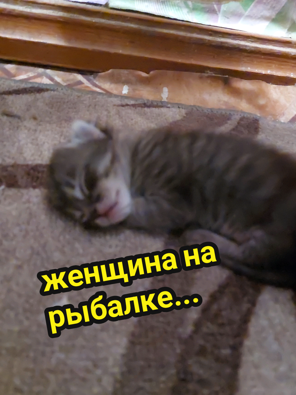 @Рыся✔️🇧🇾