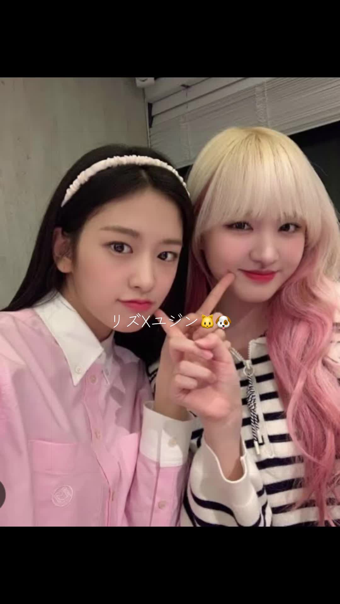 @diveヨンリズペン🐰🐱🩷🍒🧀
