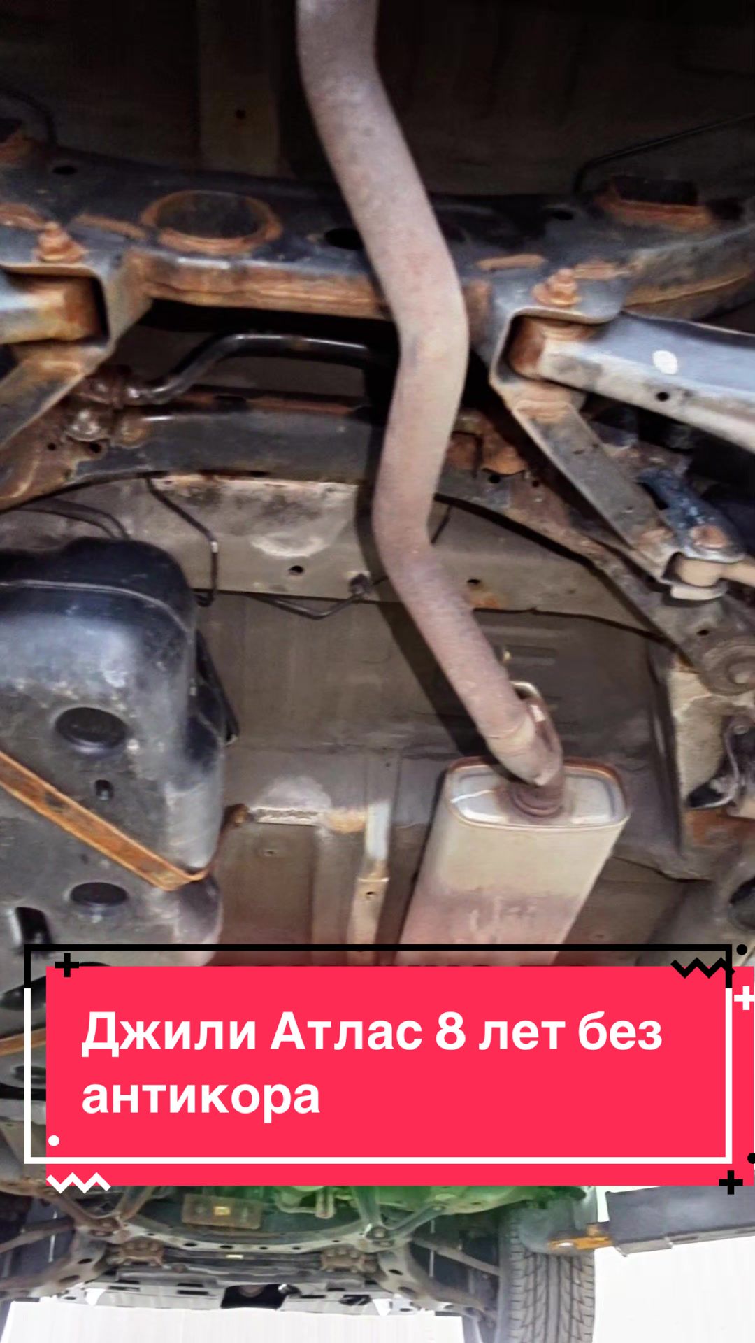 @Пегас-авто Витебск