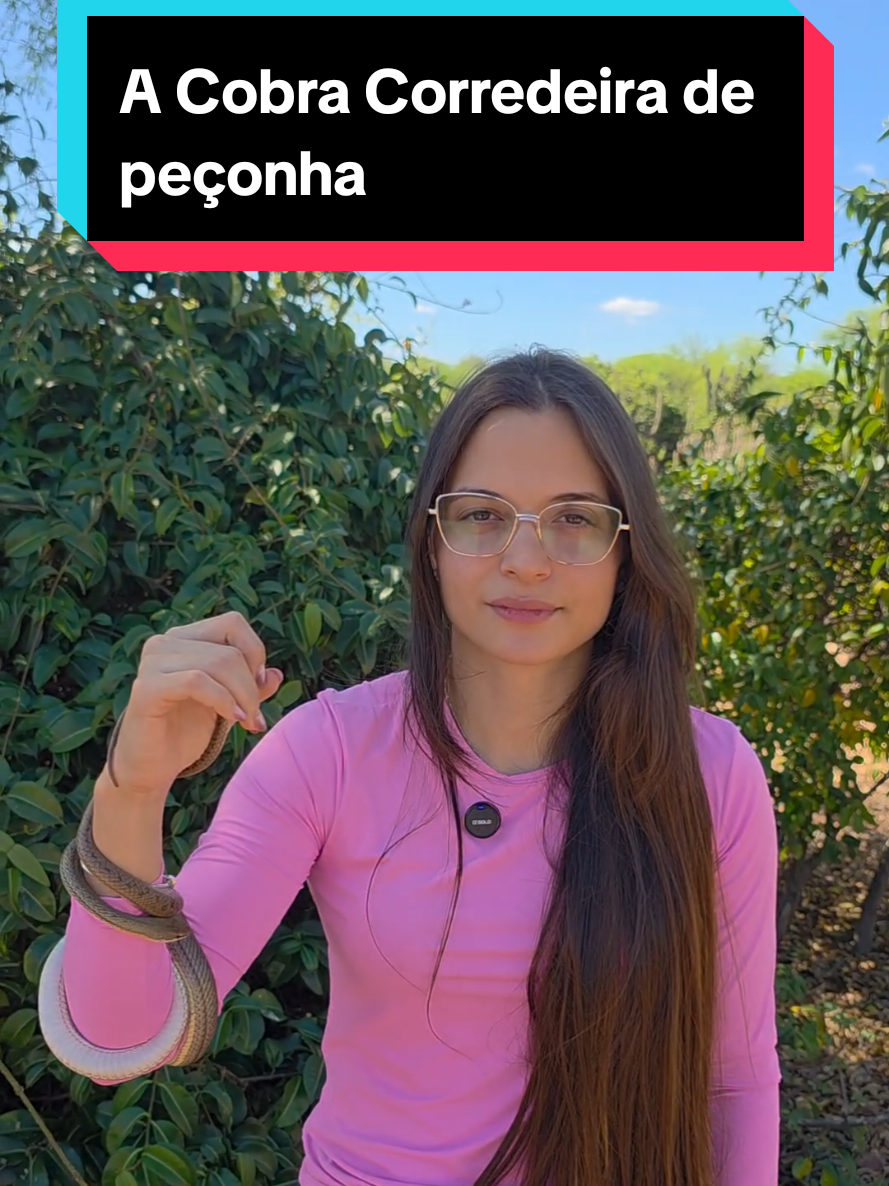 @Princesa das Serpentes