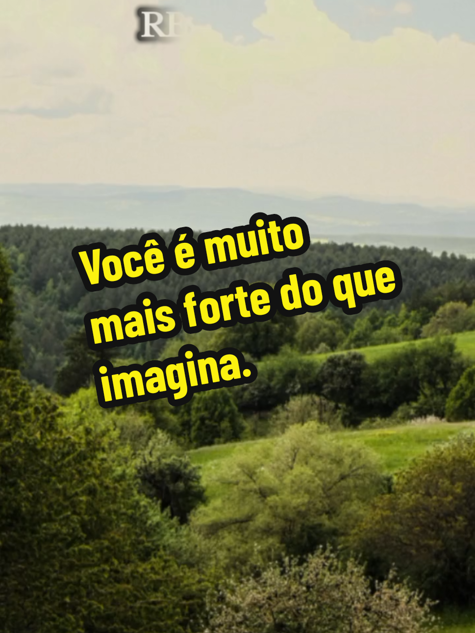 @Silvia Helena.