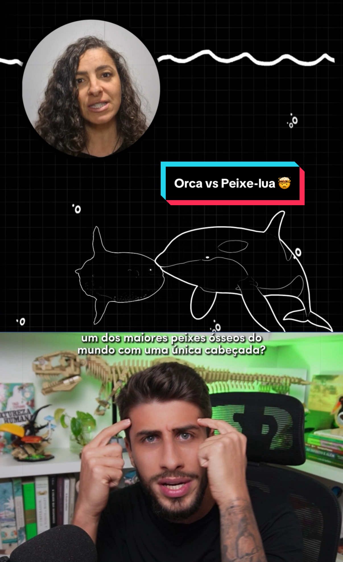 @Yago Stephano