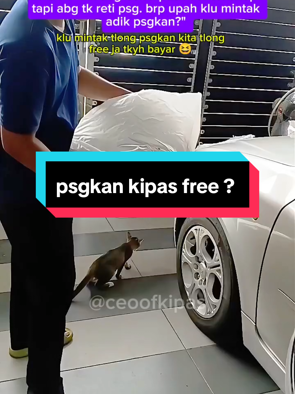 @CEO OF KIPAS (ALIFF)