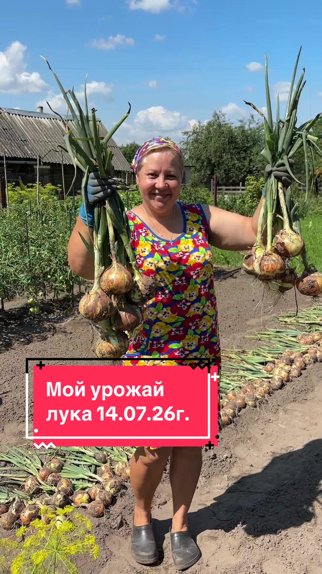 @🌿𝓐𝓷𝓲𝓷𝓪 𝓭𝓪𝓬𝓱𝓪🌿