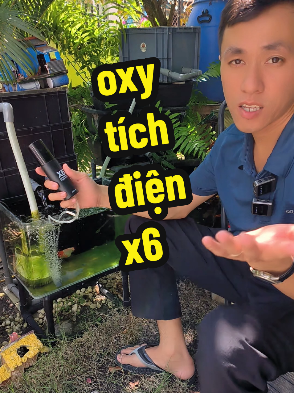 @Ngắm Cá Online