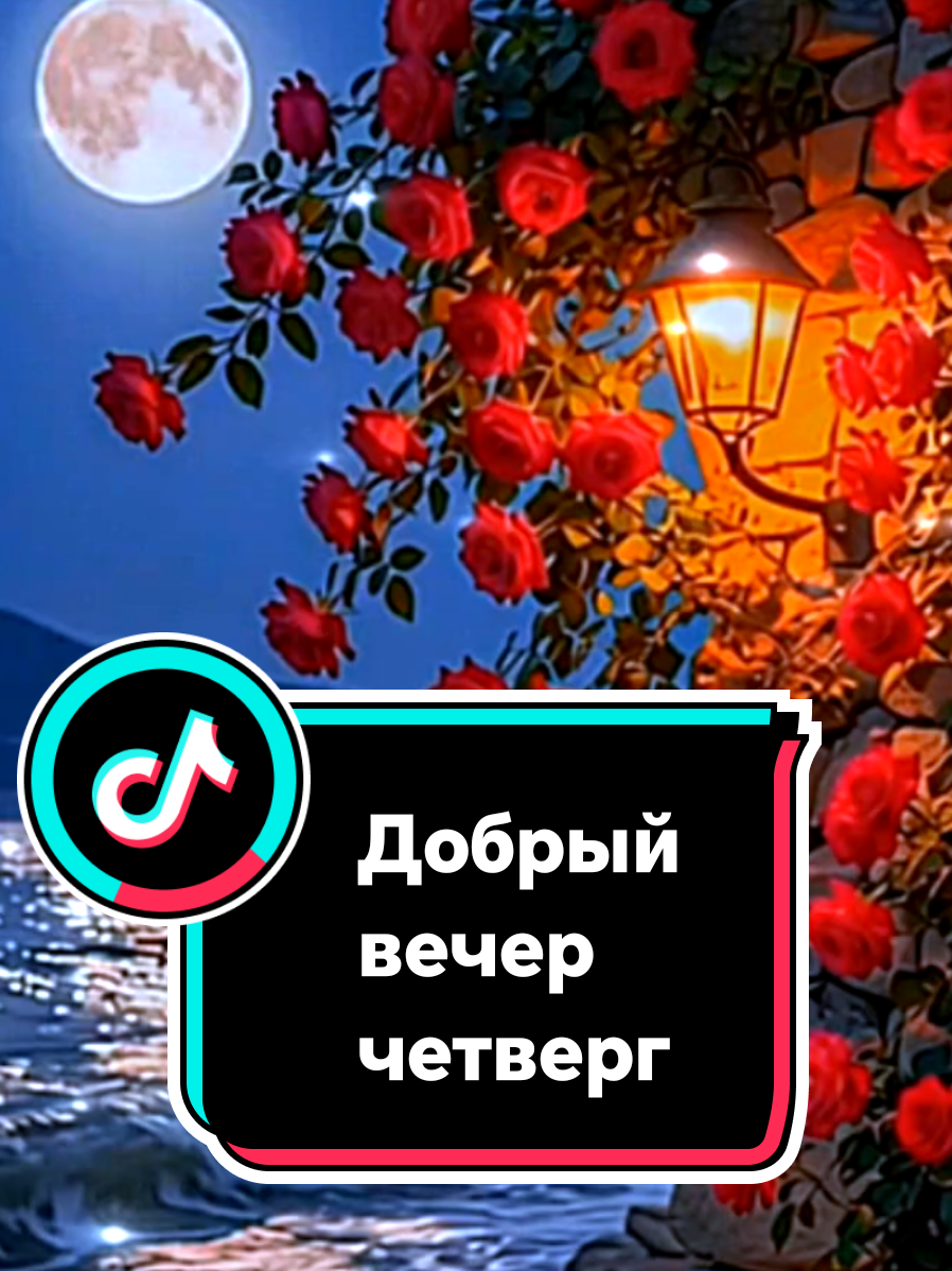 @꧁༺ 𝓛𝓮𝓷𝓸𝓬𝓱𝓴𝓪 ༻꧂