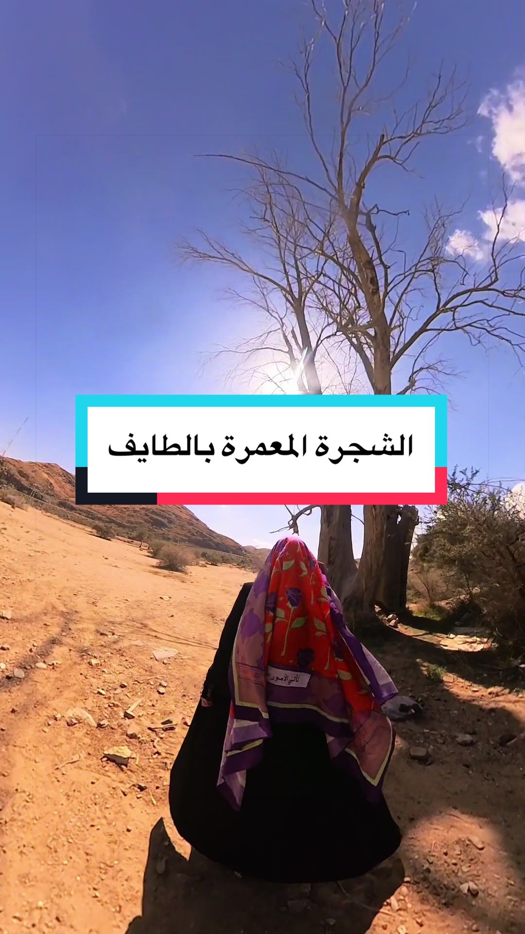 @Wafaa