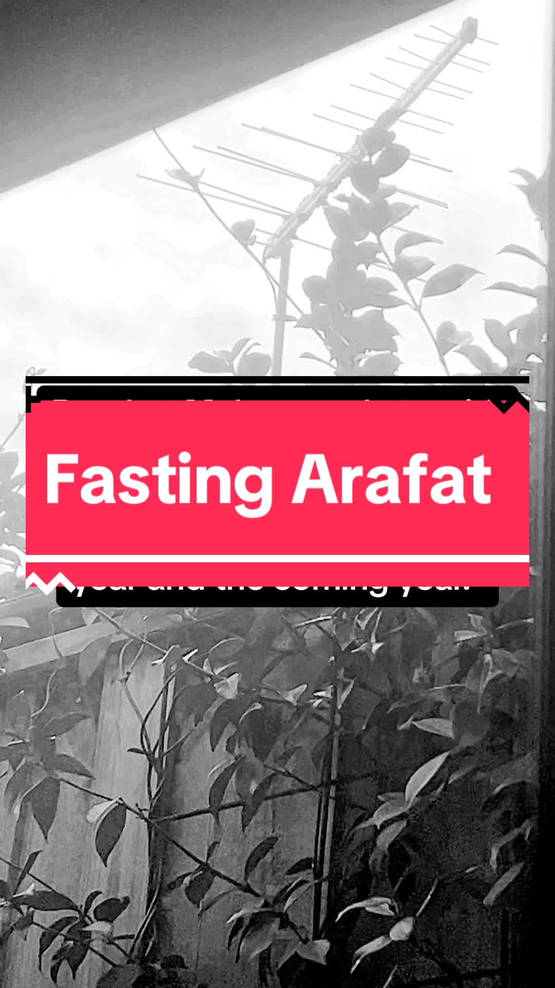 @Sunnah Dawah