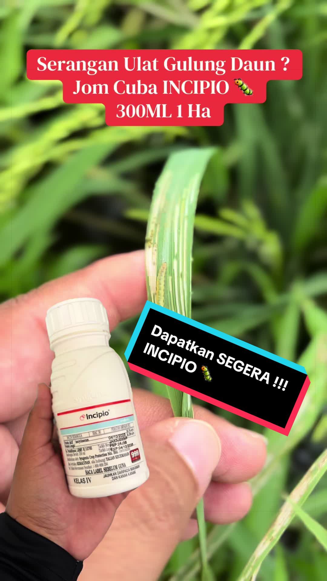 @CY Agriculture
