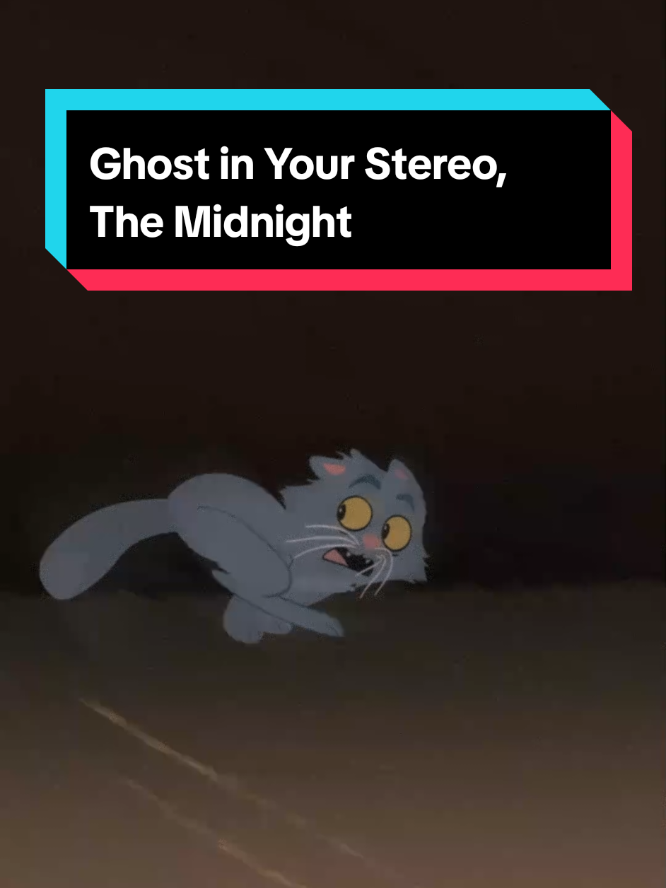@Sydney the Song Cat