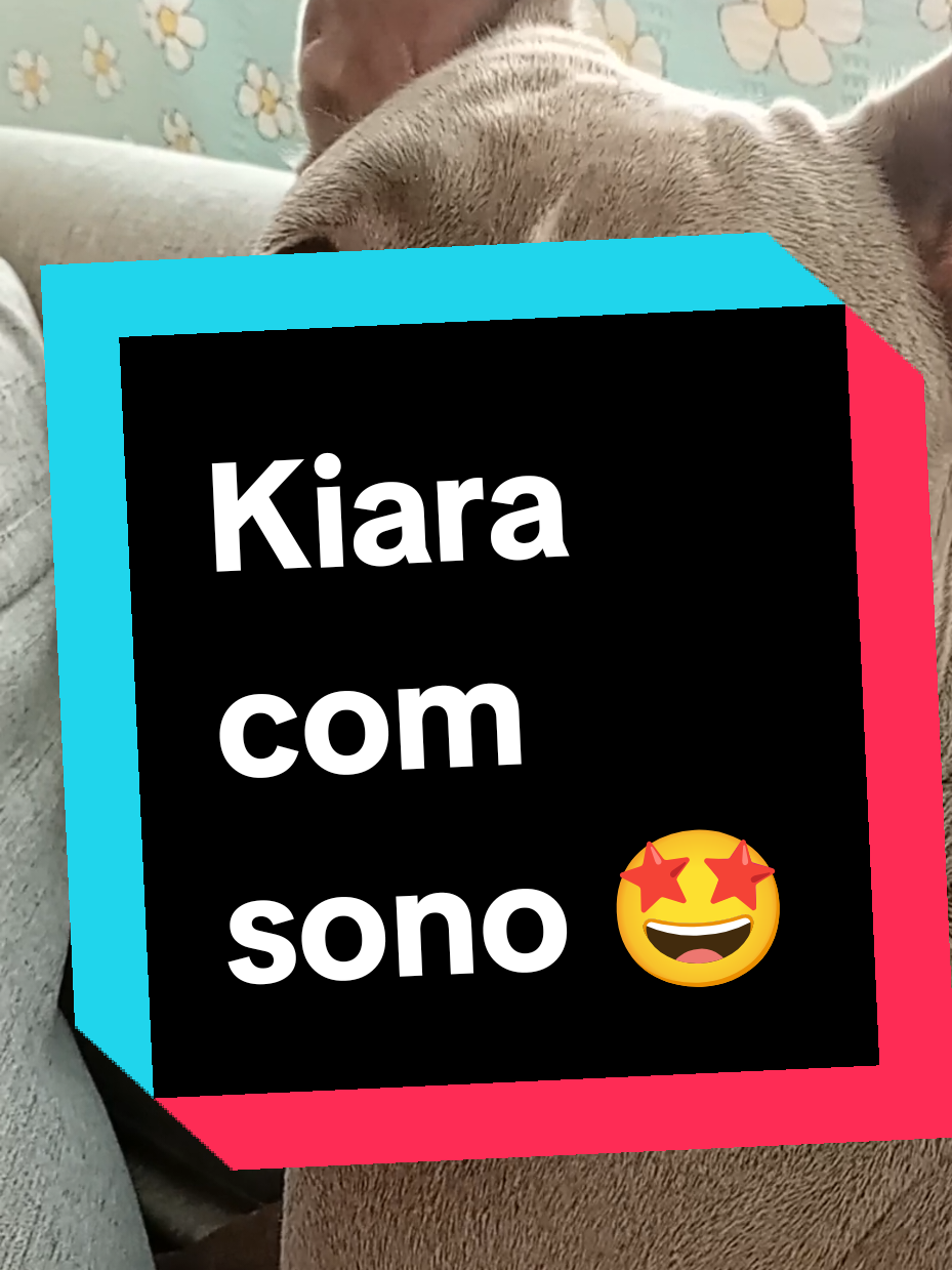 @Katia Canizio 🌻