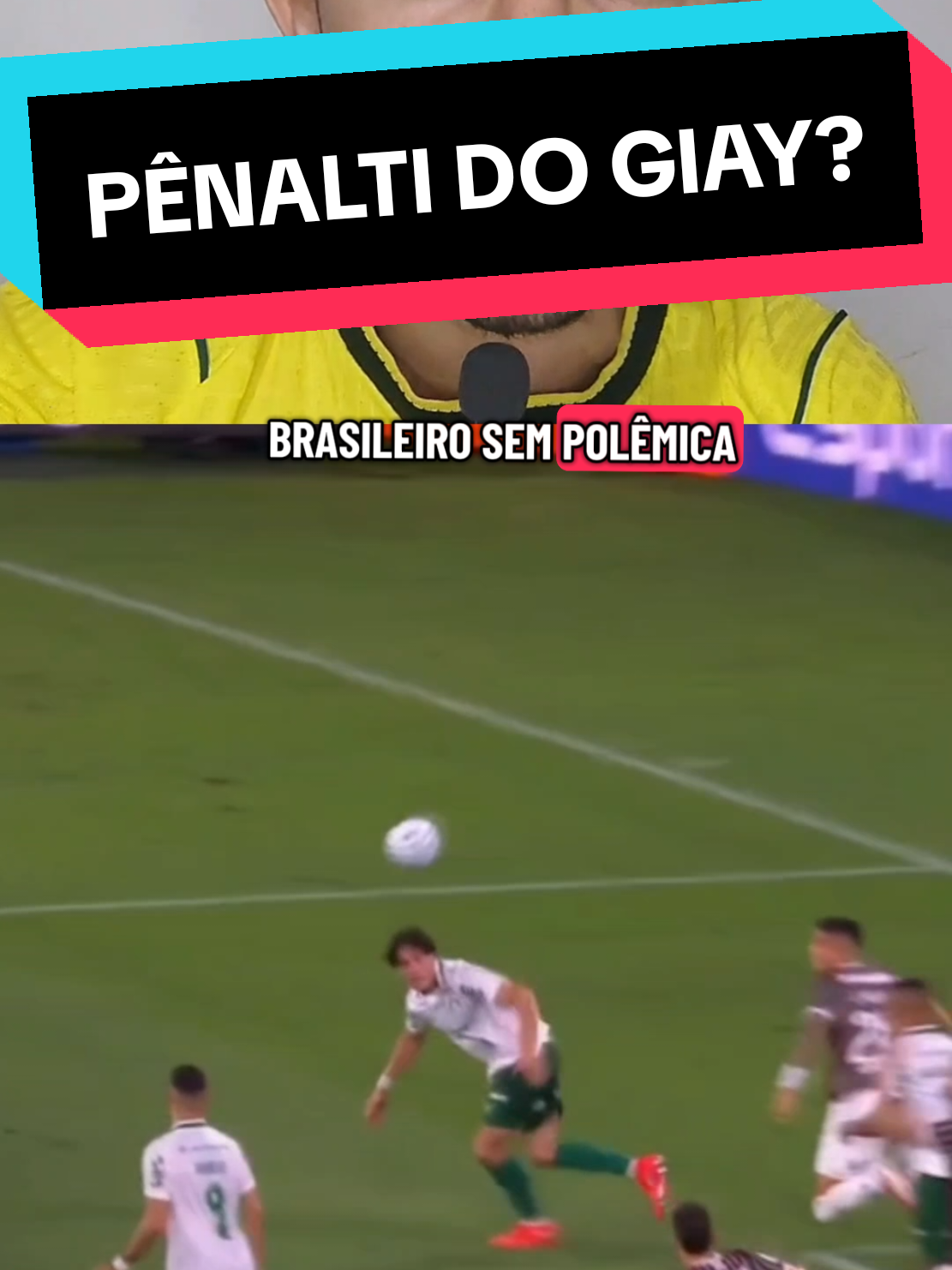@analistaleigo