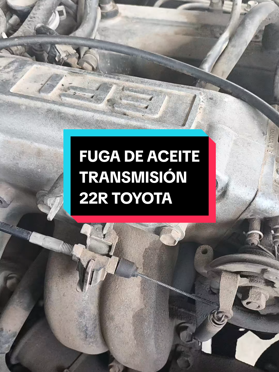 @Grupo Técnico Automotriz🇲🇽🌎