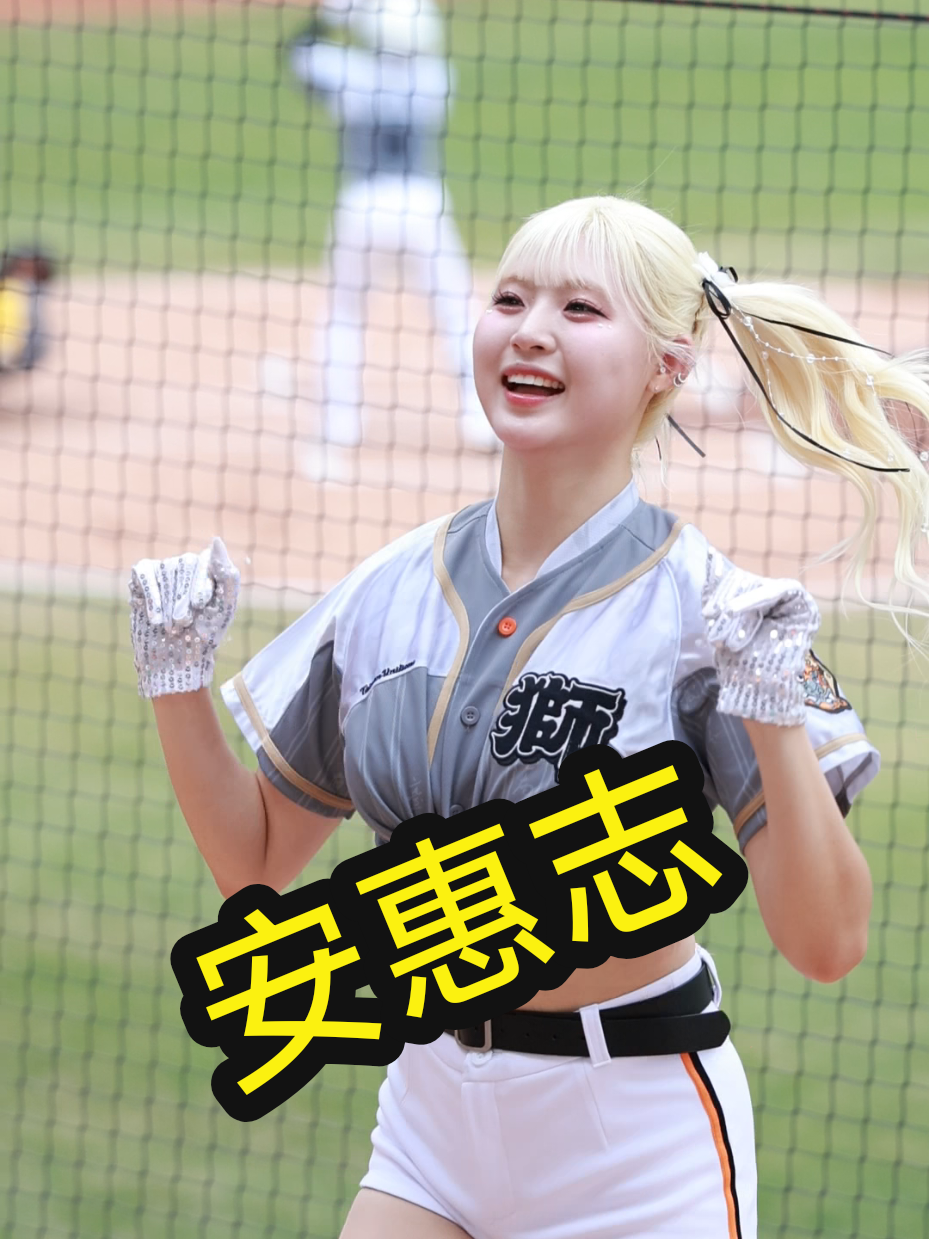 @海豚于翔