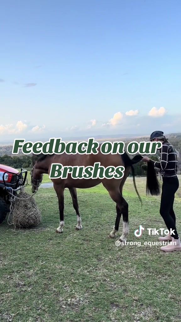 @Ippico Equestrian