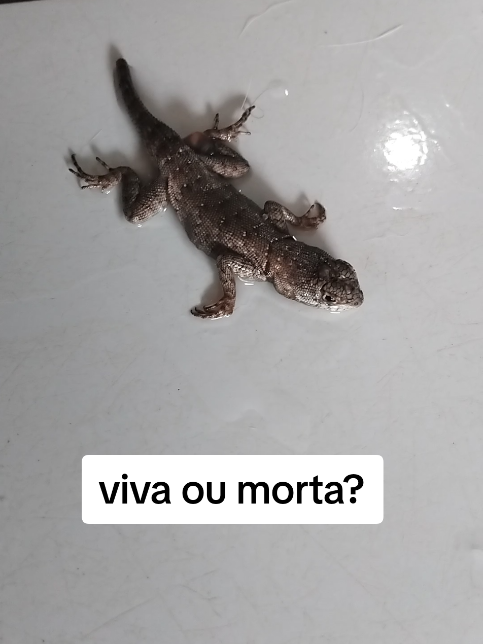 @Mel e zayon