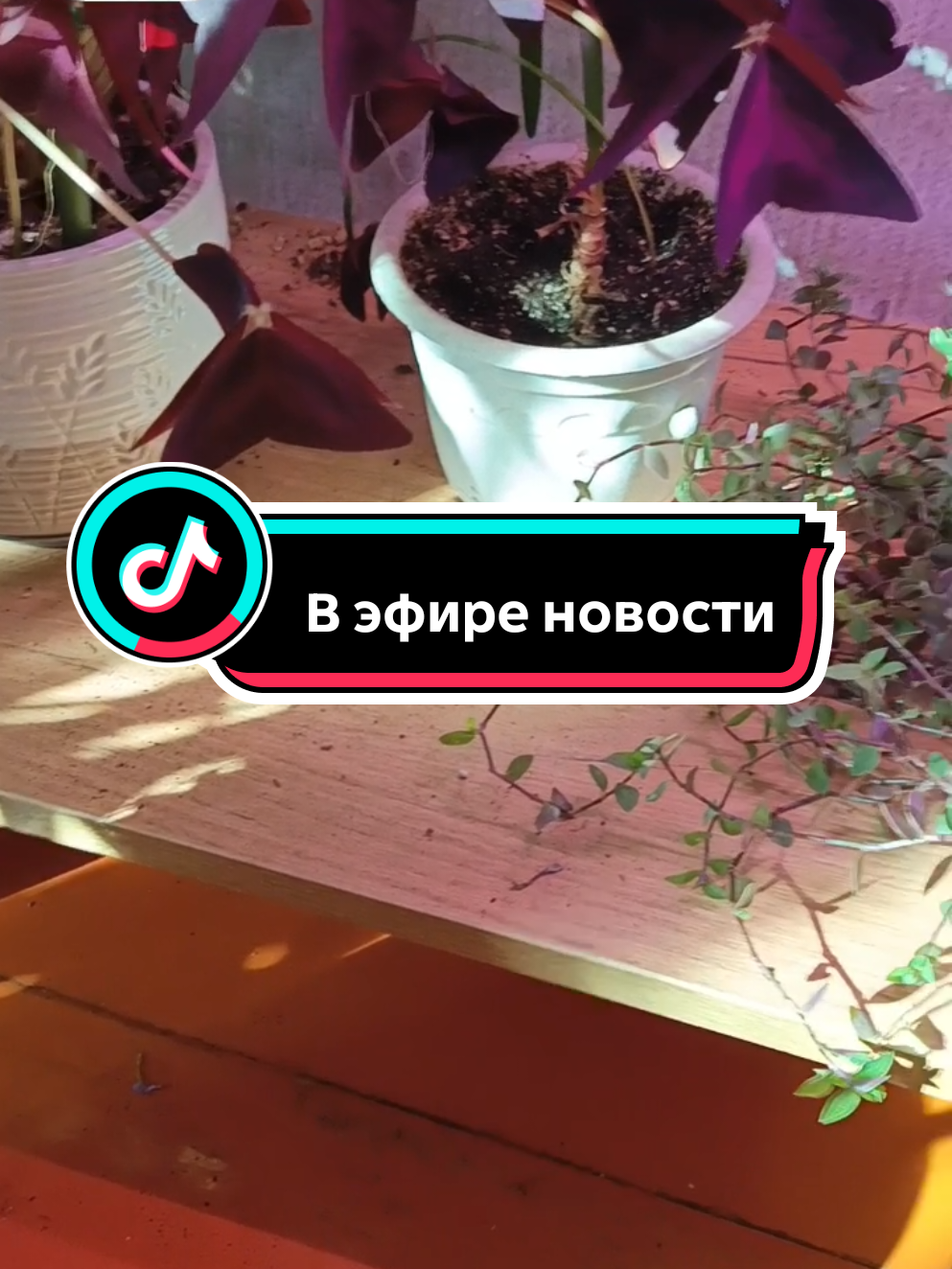 @Зелёные_крыши_Юнино 🏡