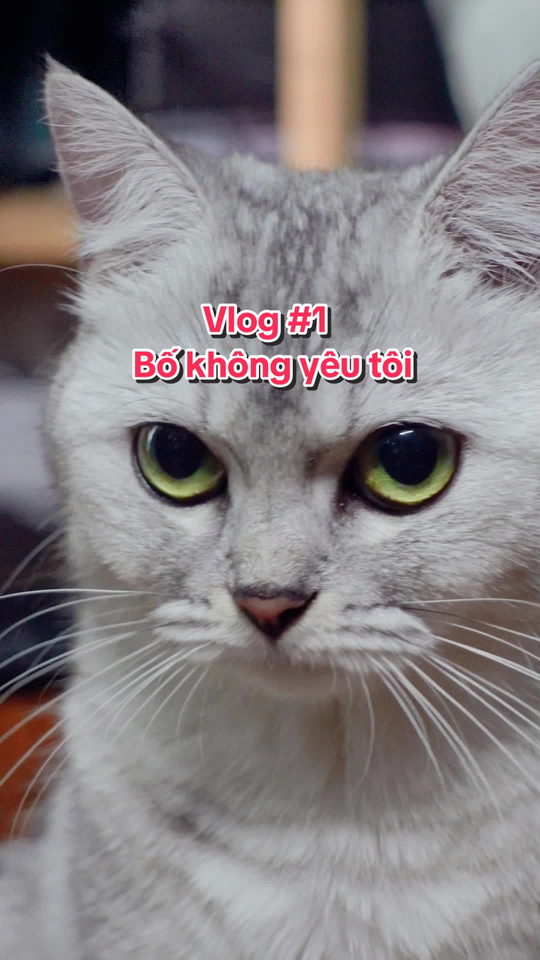 @Ốc V&agrave; Con