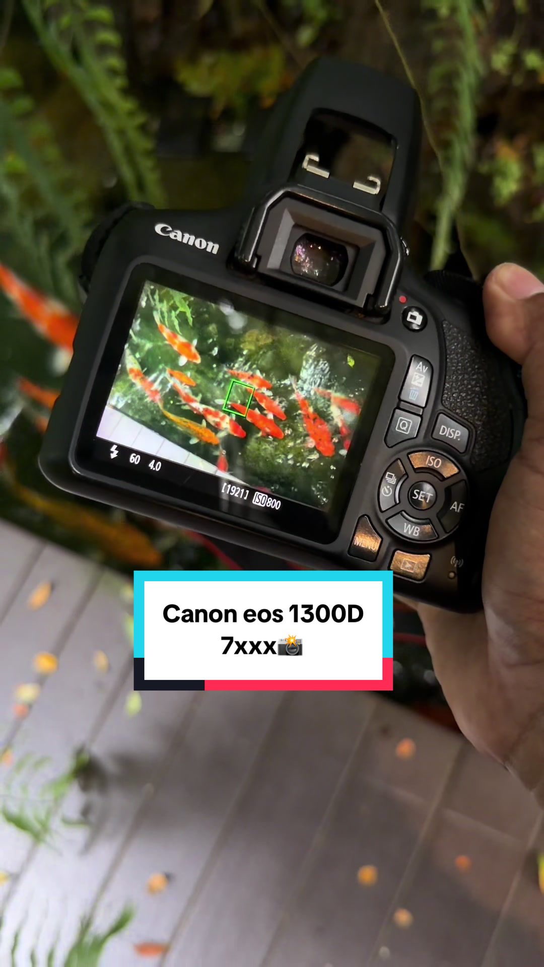 @Chalee camera