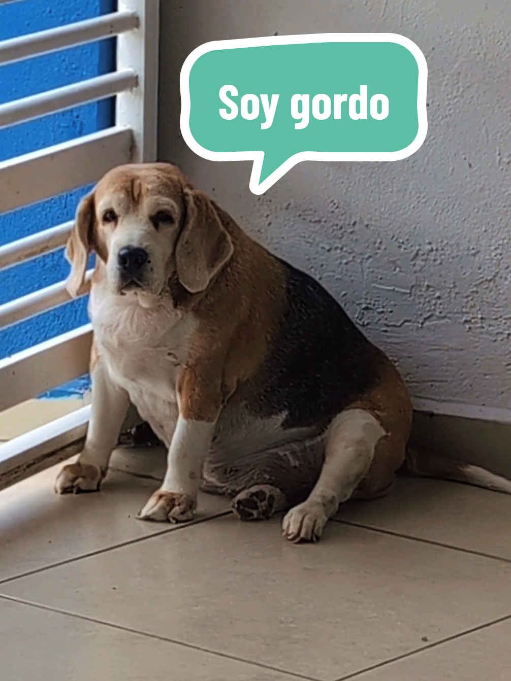 @JesusALG