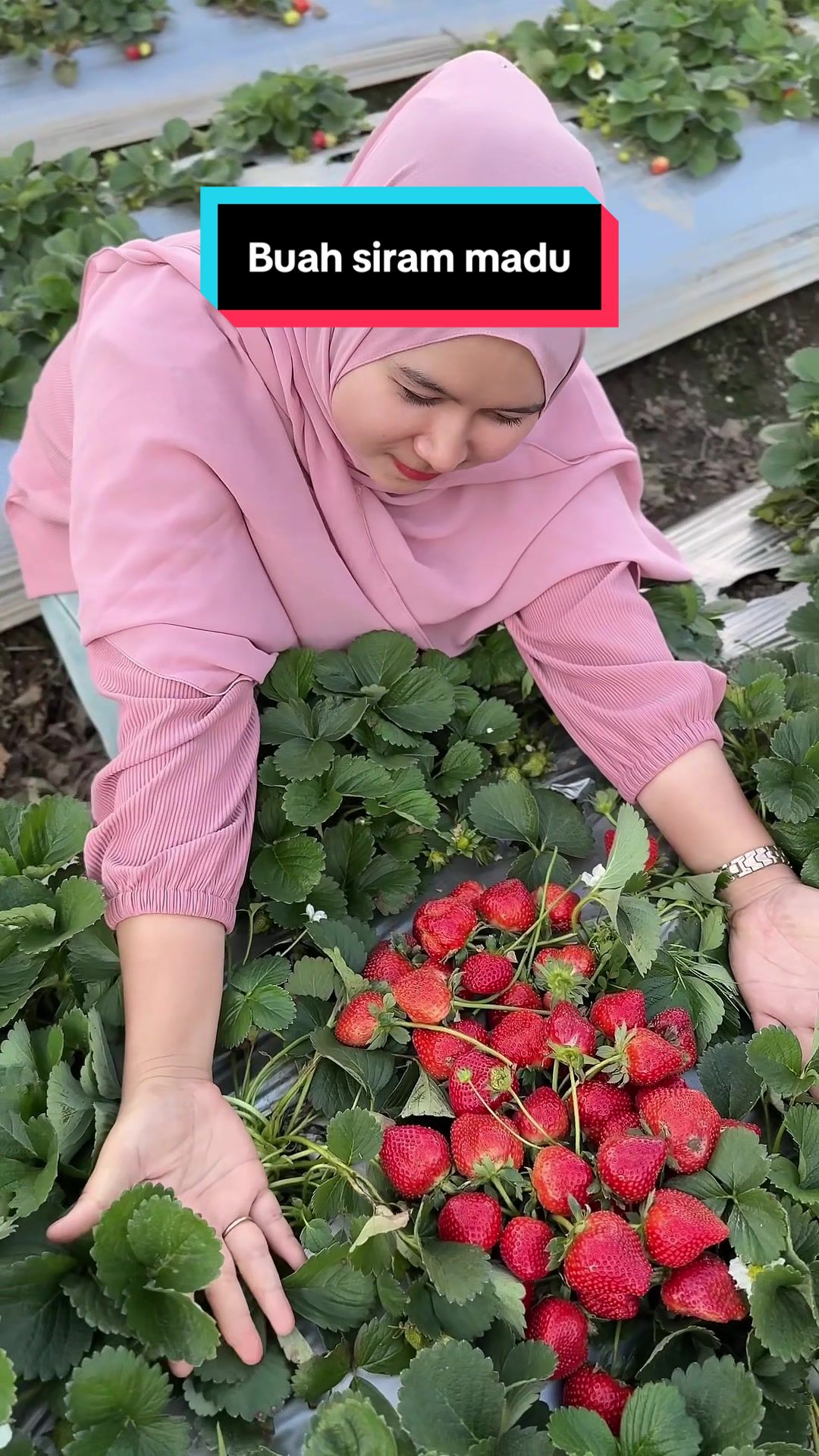 @Sulastri Mayani