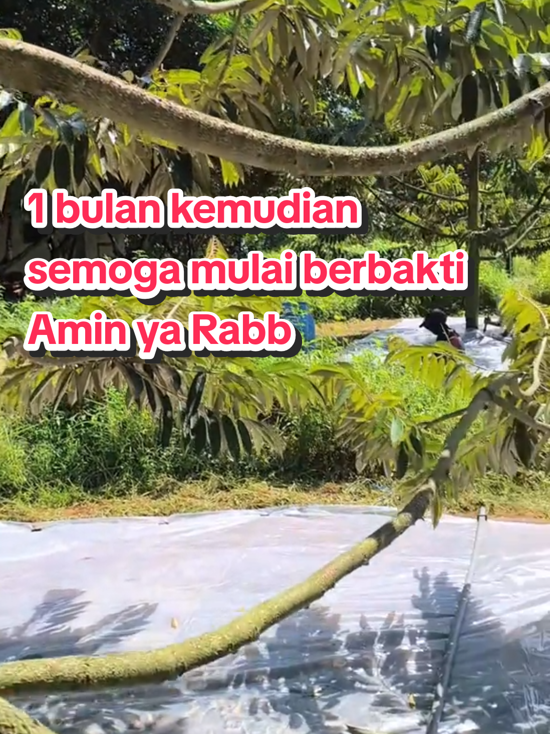 @TRETAN DUREN