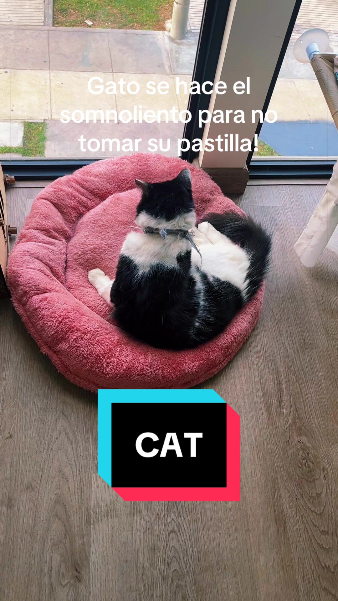 @Jhonabet 
