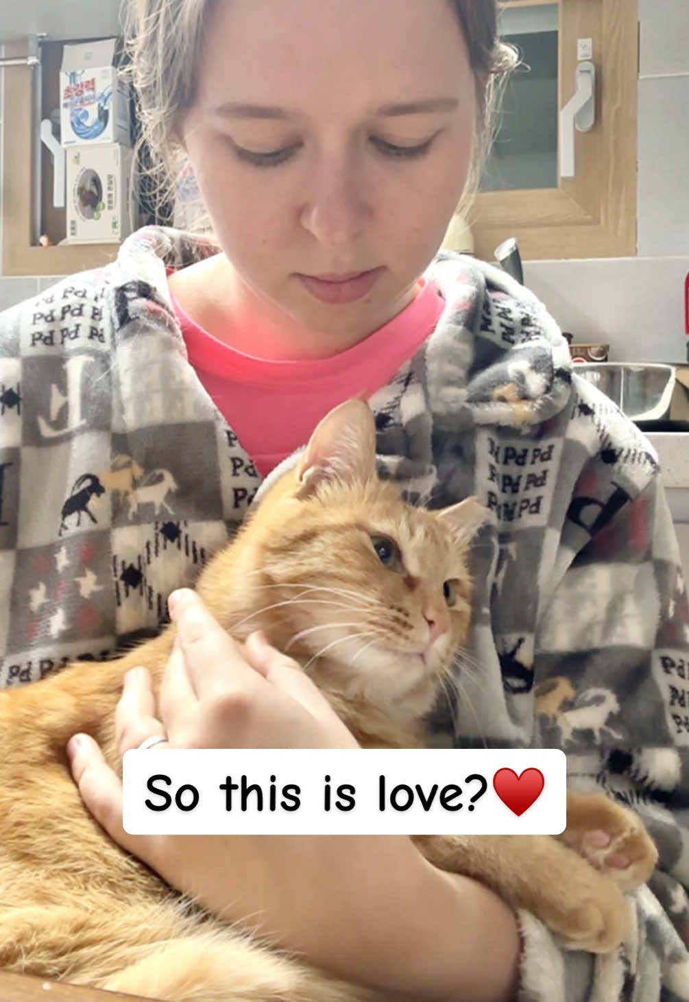 @MyStrayCheese