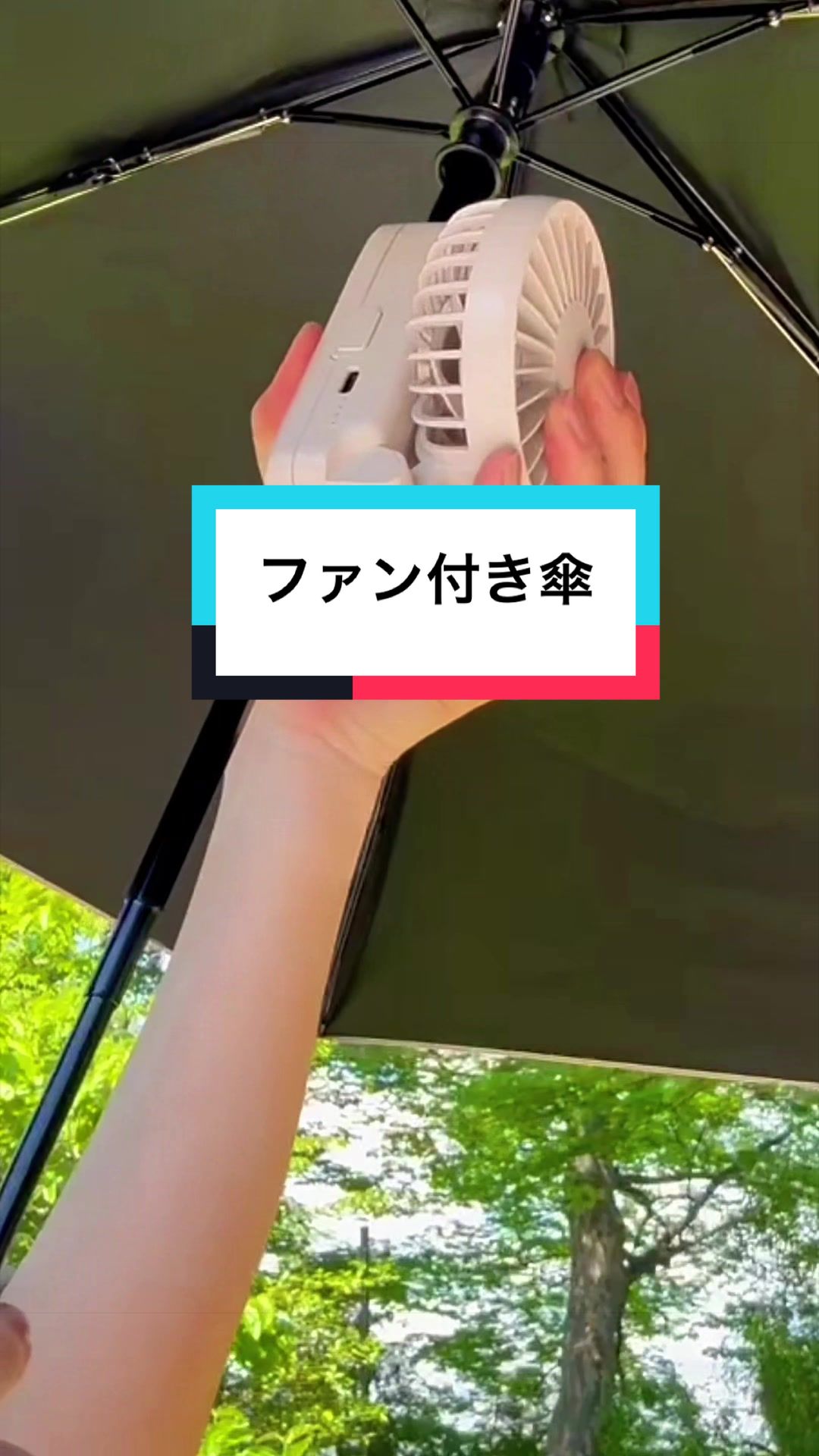 @しんのすけ🐾