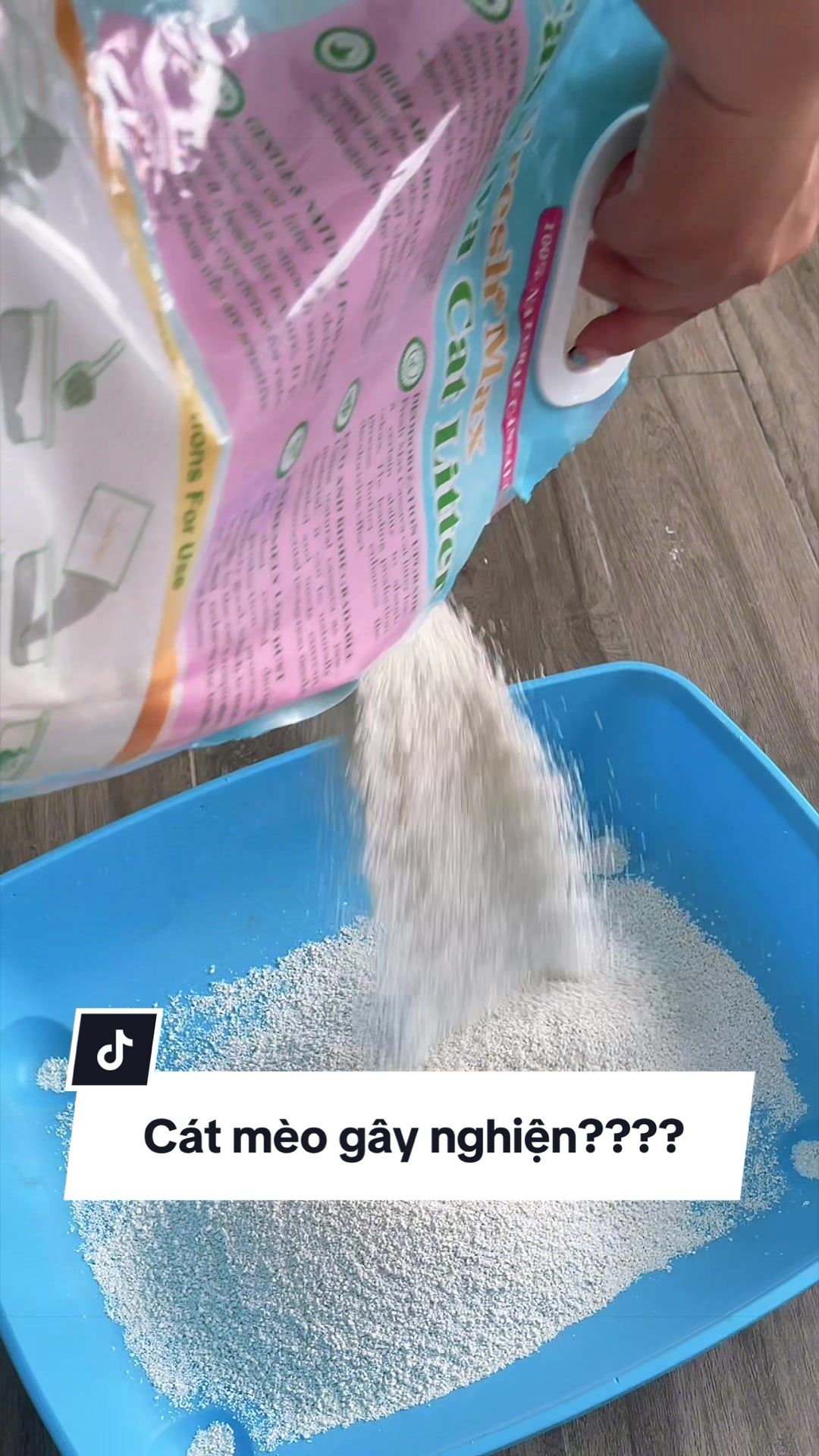 @Sếp Tôi Là Một Con Mè