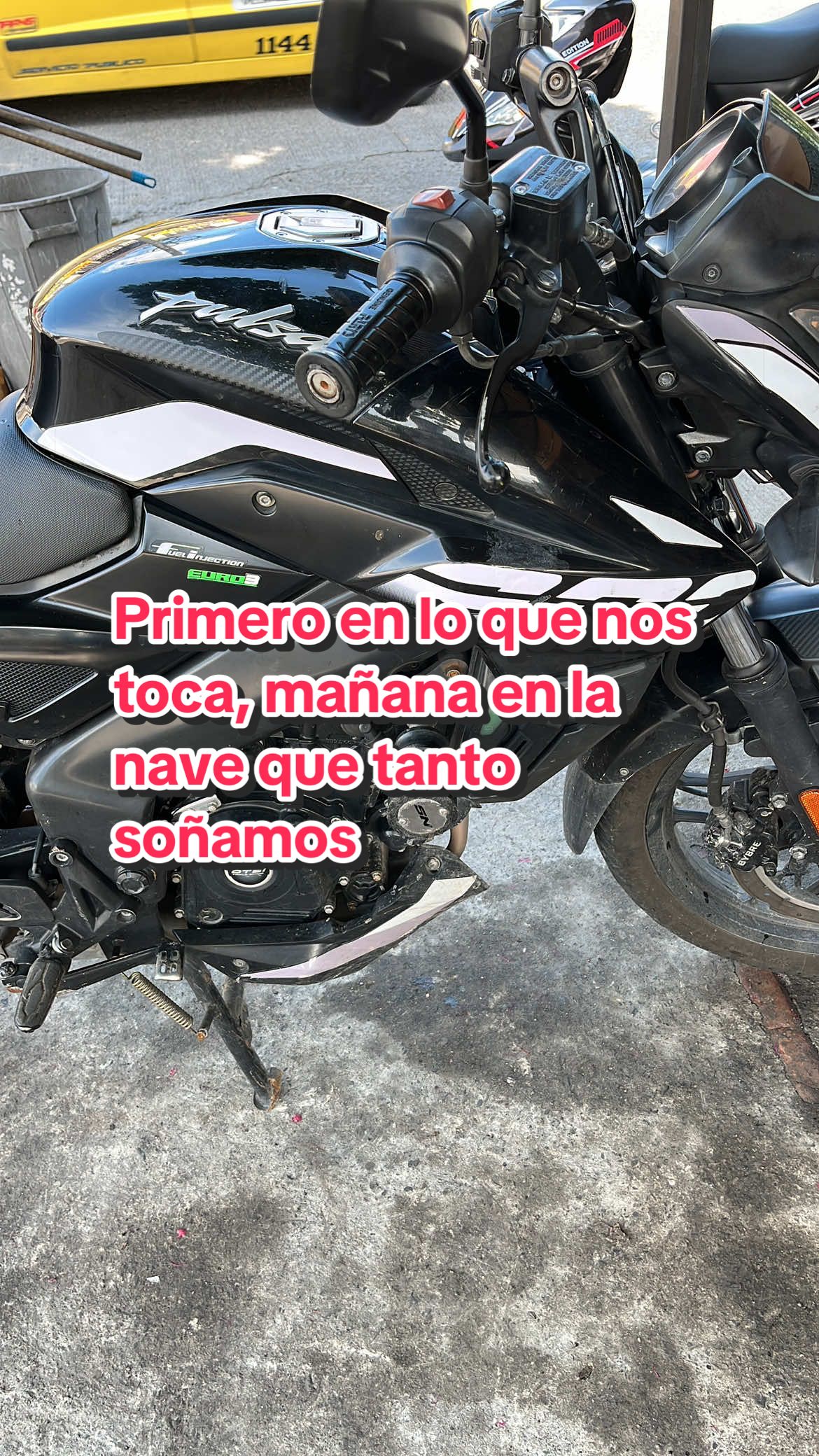 @elmagnatedelospollos