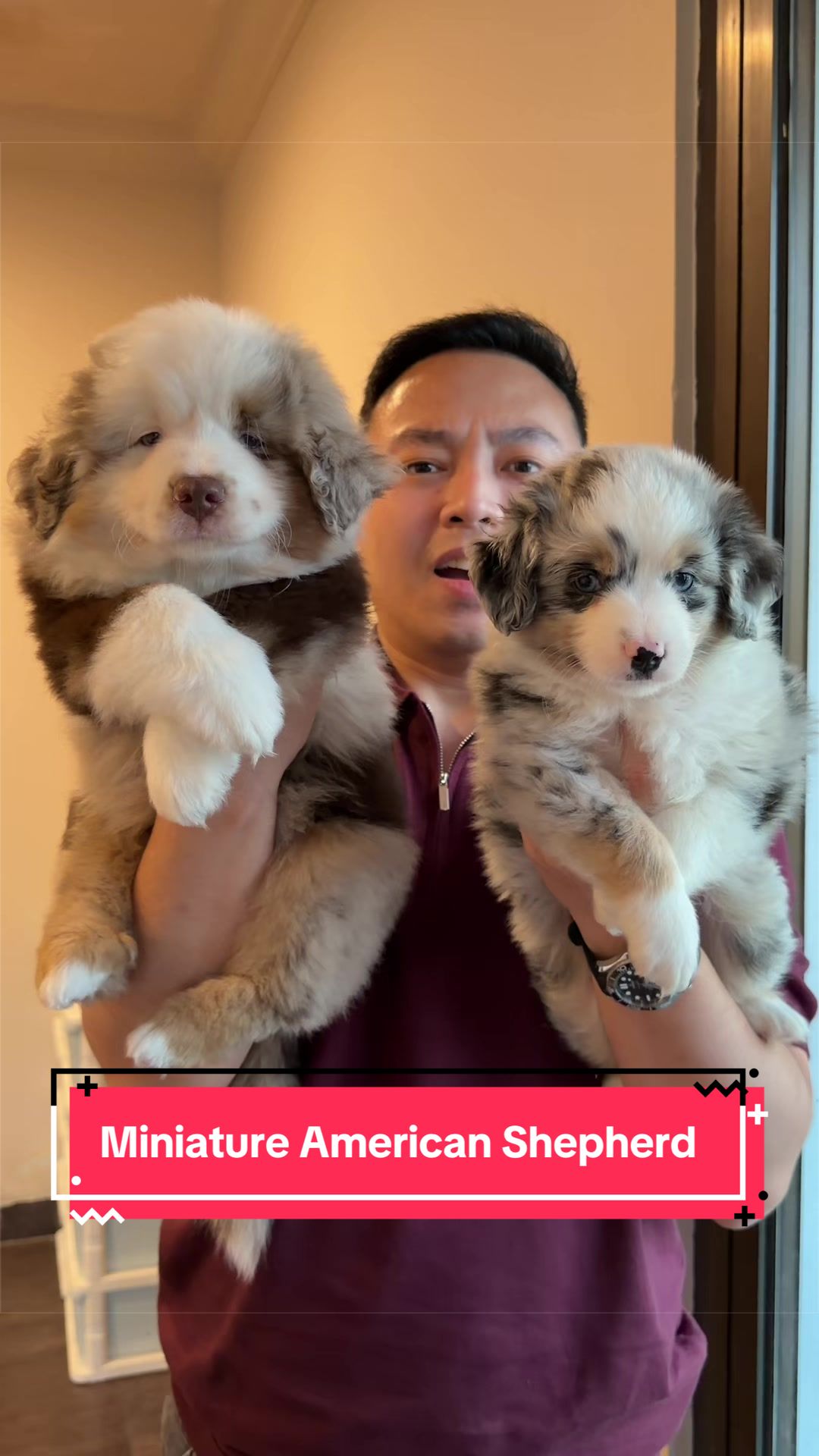 @Koko Guguk