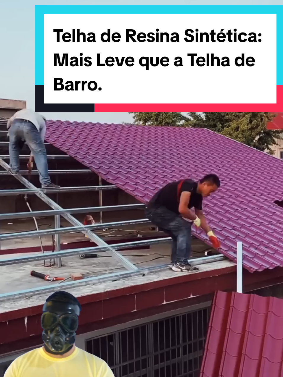 @Mundo da Curiosidades