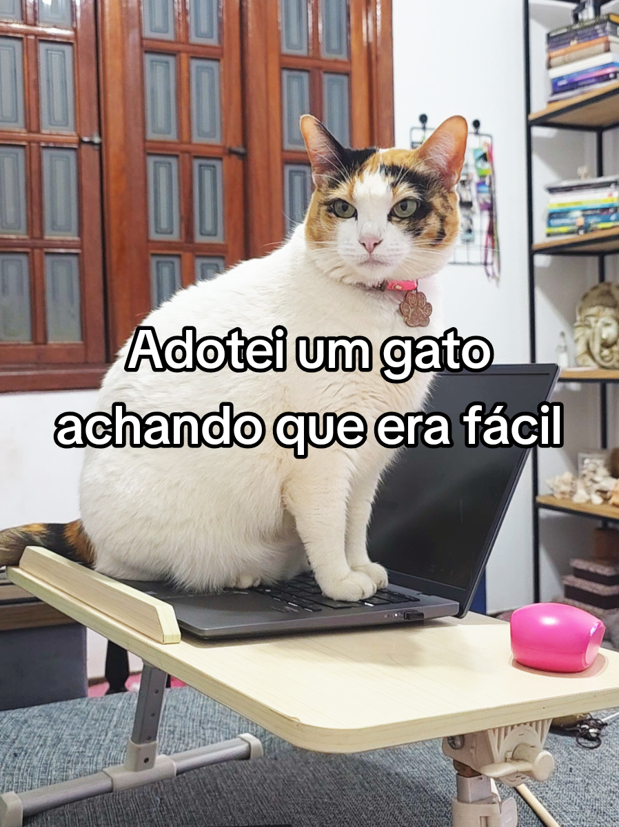 @Karen Siri