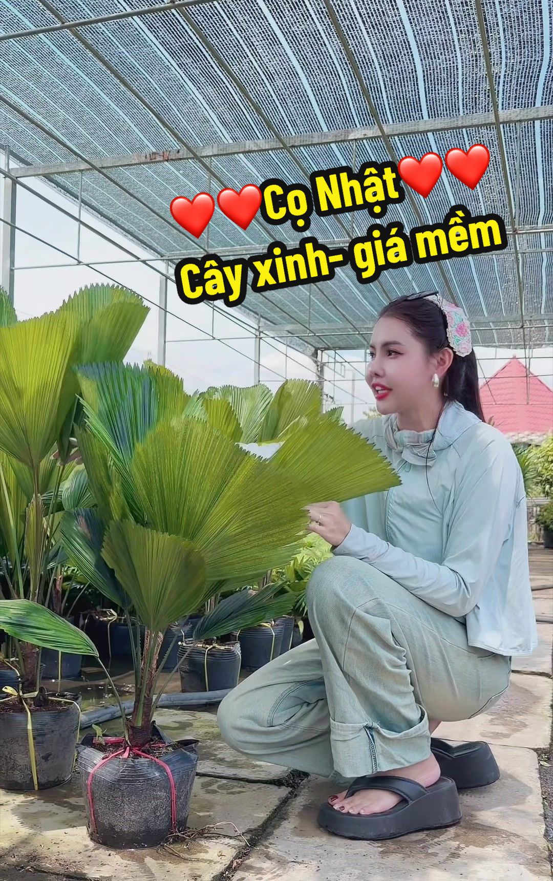 @Tiệm Lá Nhỏ