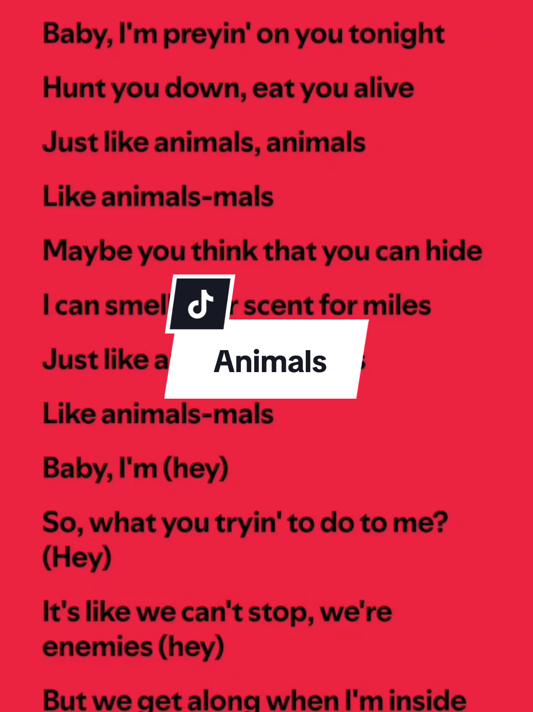 @Music Lyrics