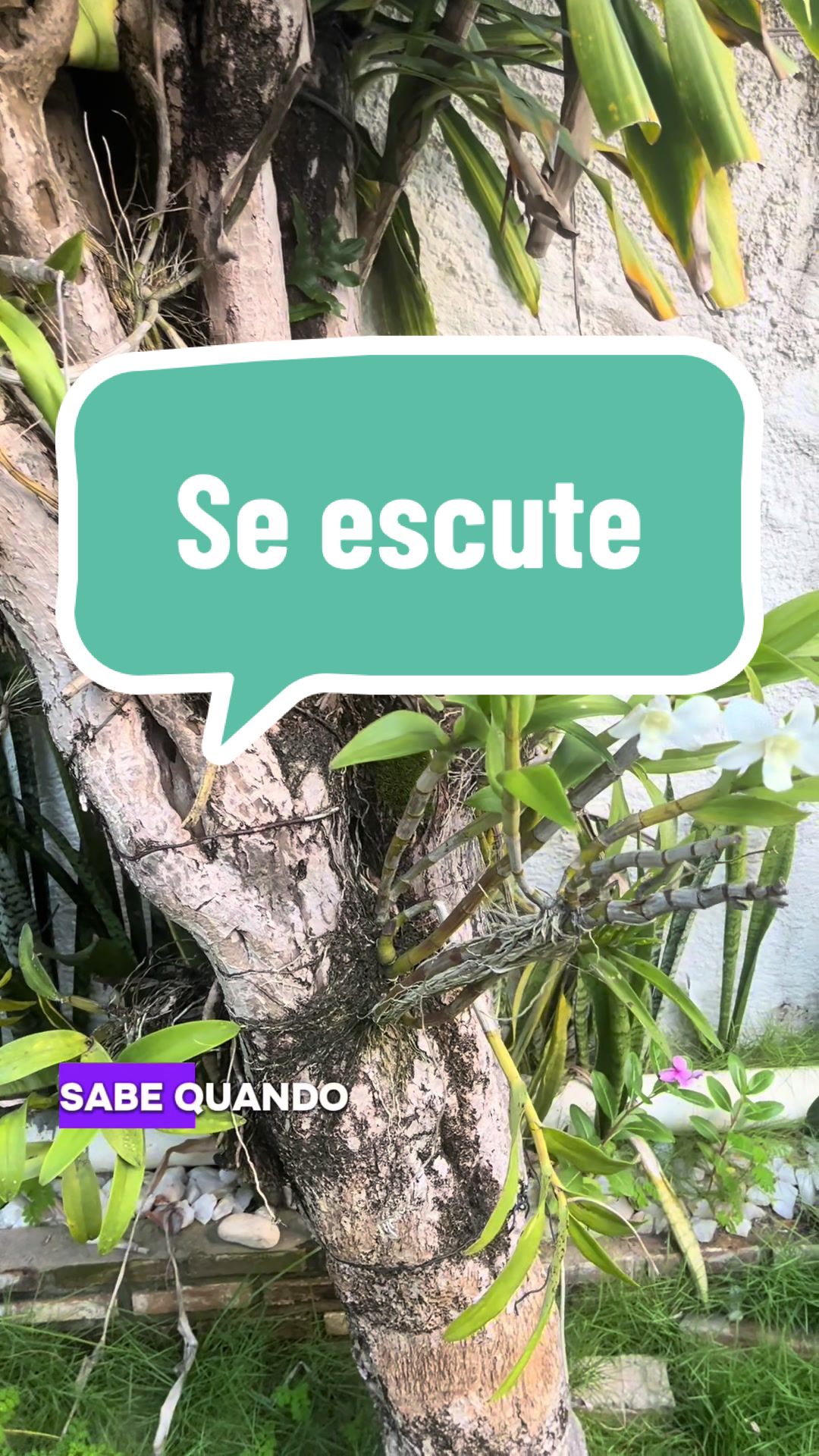 @Vanessa E. Santos | Terapeuta