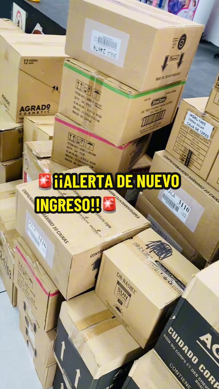 @Vikingos.sv