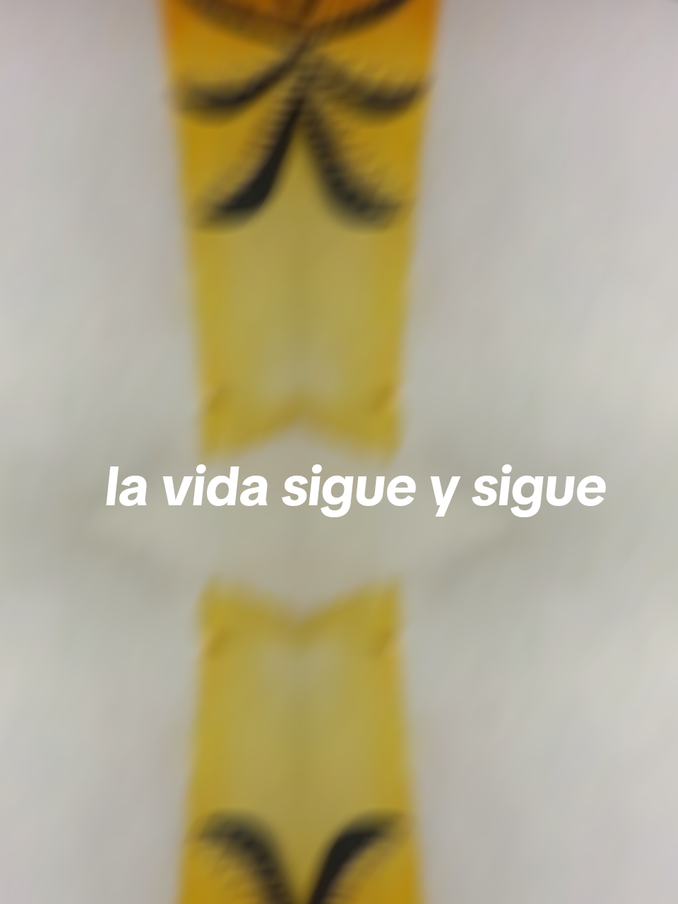 @Sonia Rodriguez abi