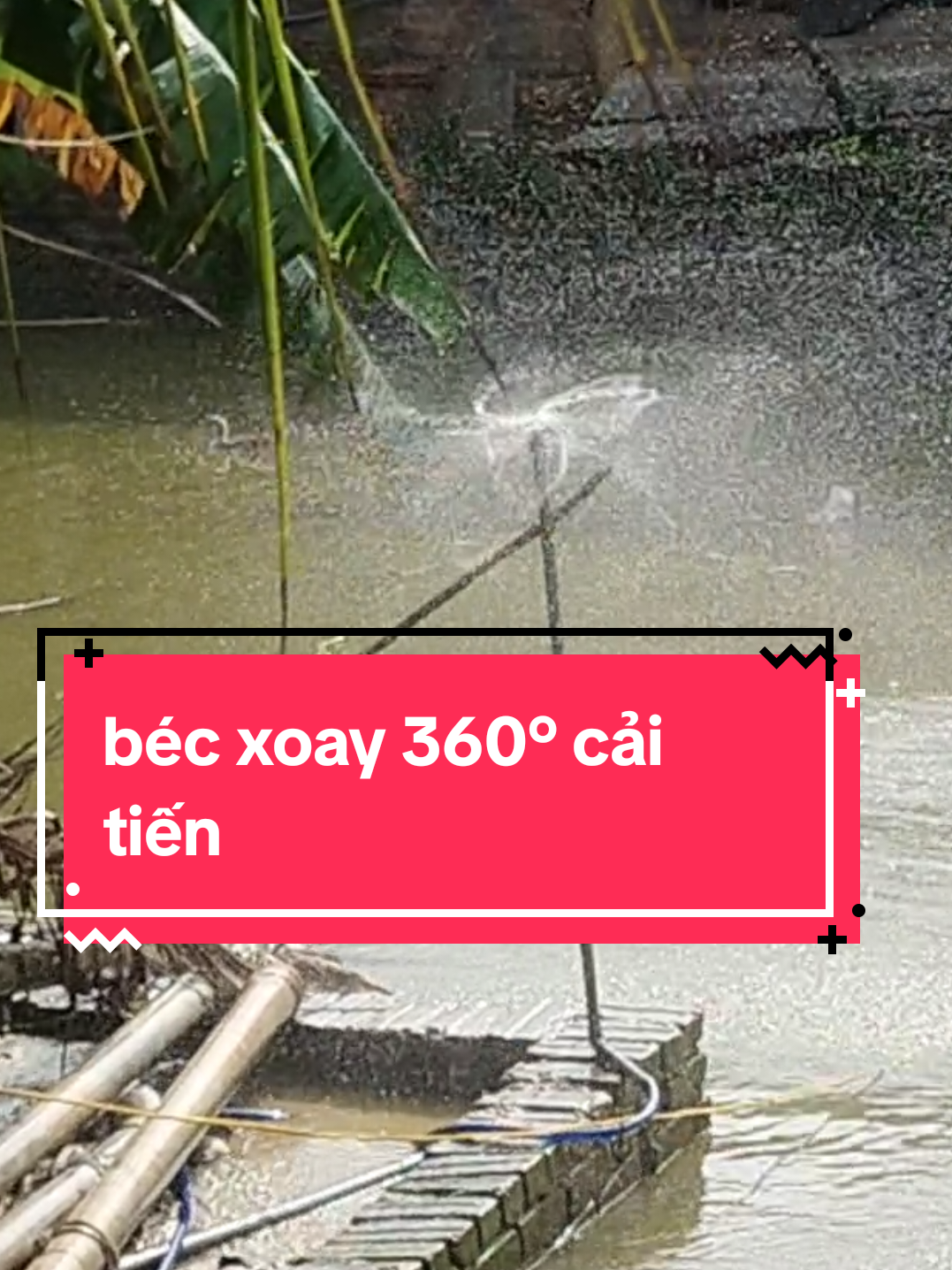 @Con Ghẻ Của TikTok 3