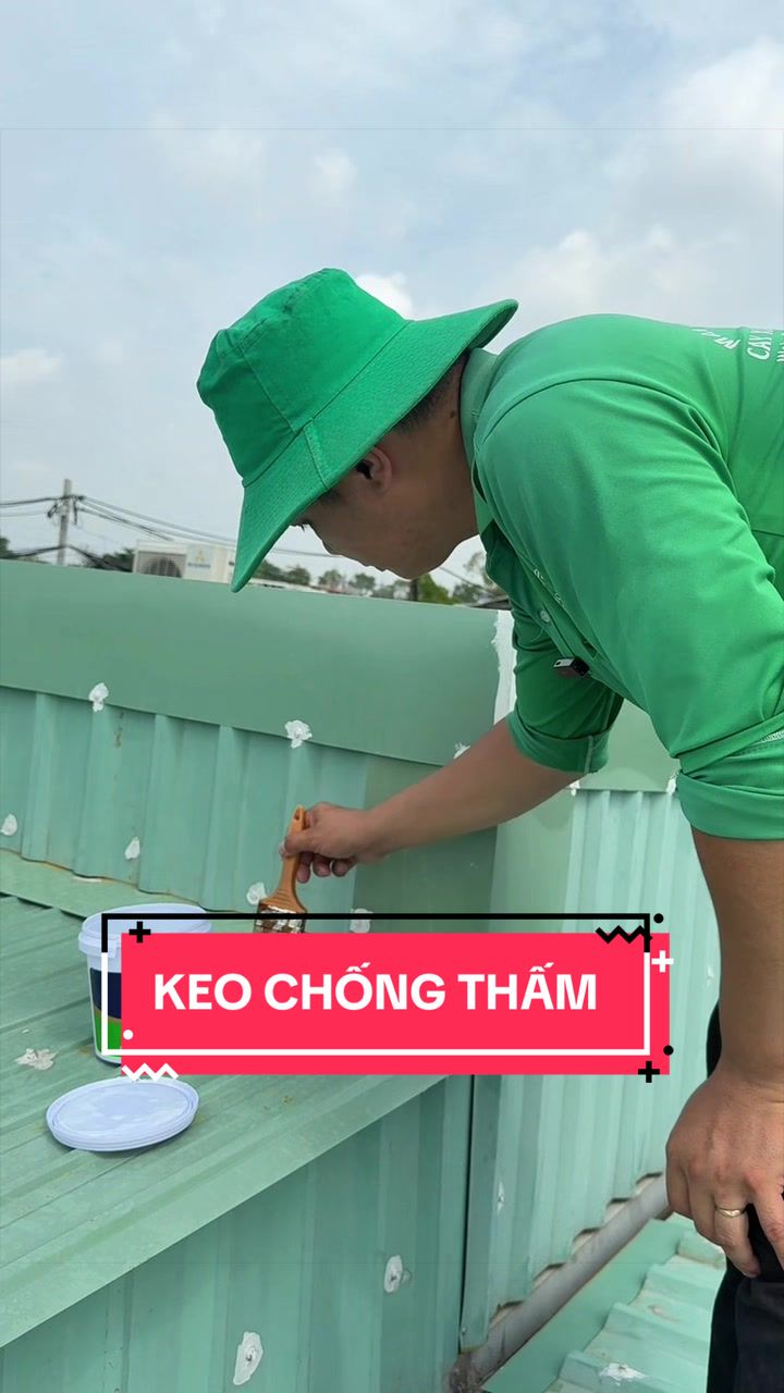 @Cây Xanh Phong Hồng