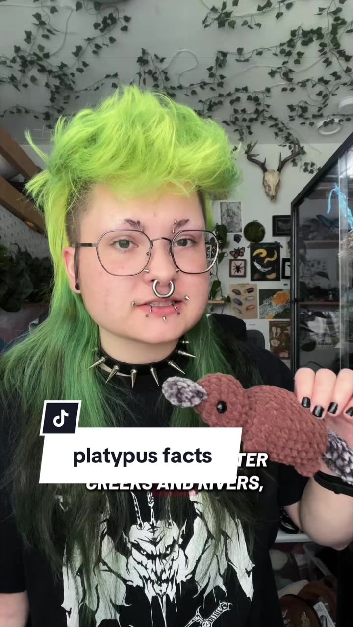 @vesper (he/xe)