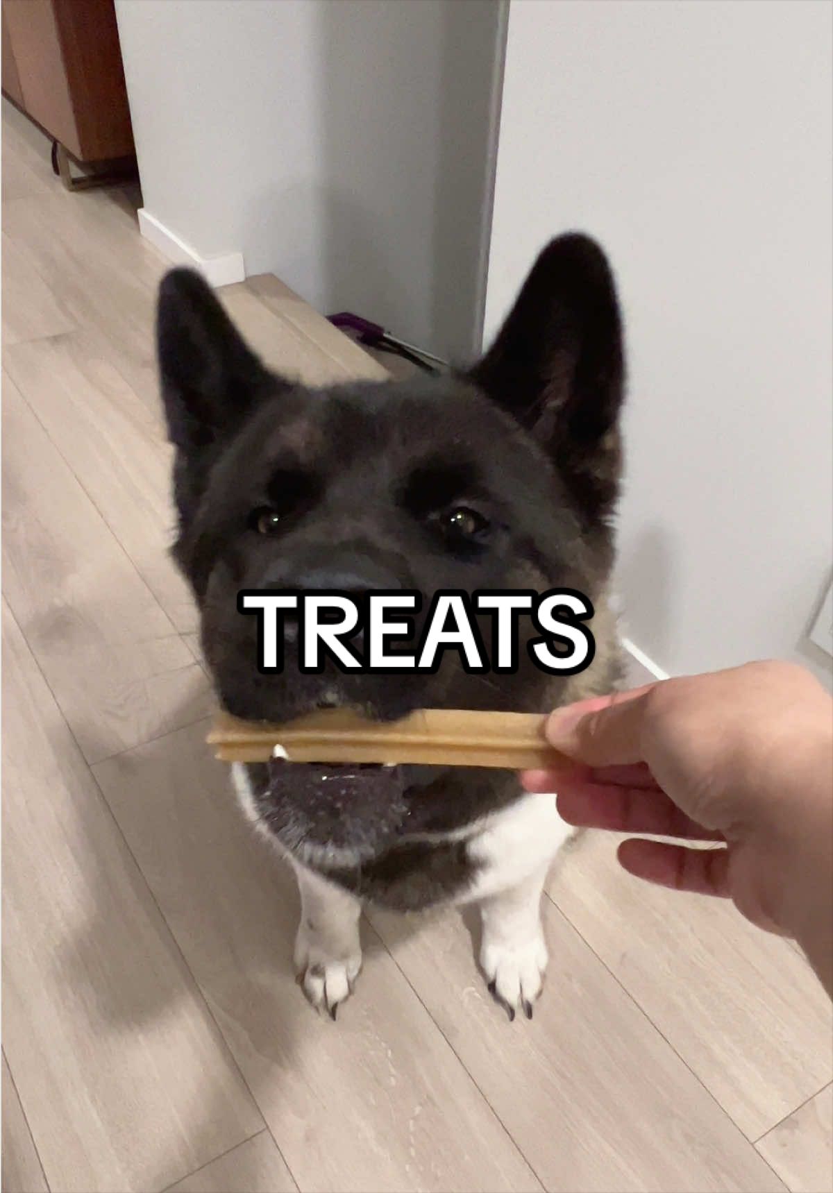 @tiara + winnie