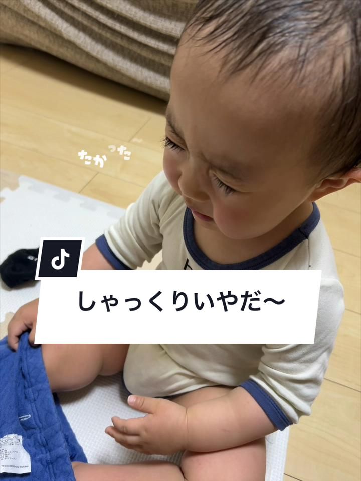 @じょうちゃん(ほいっぷくん)