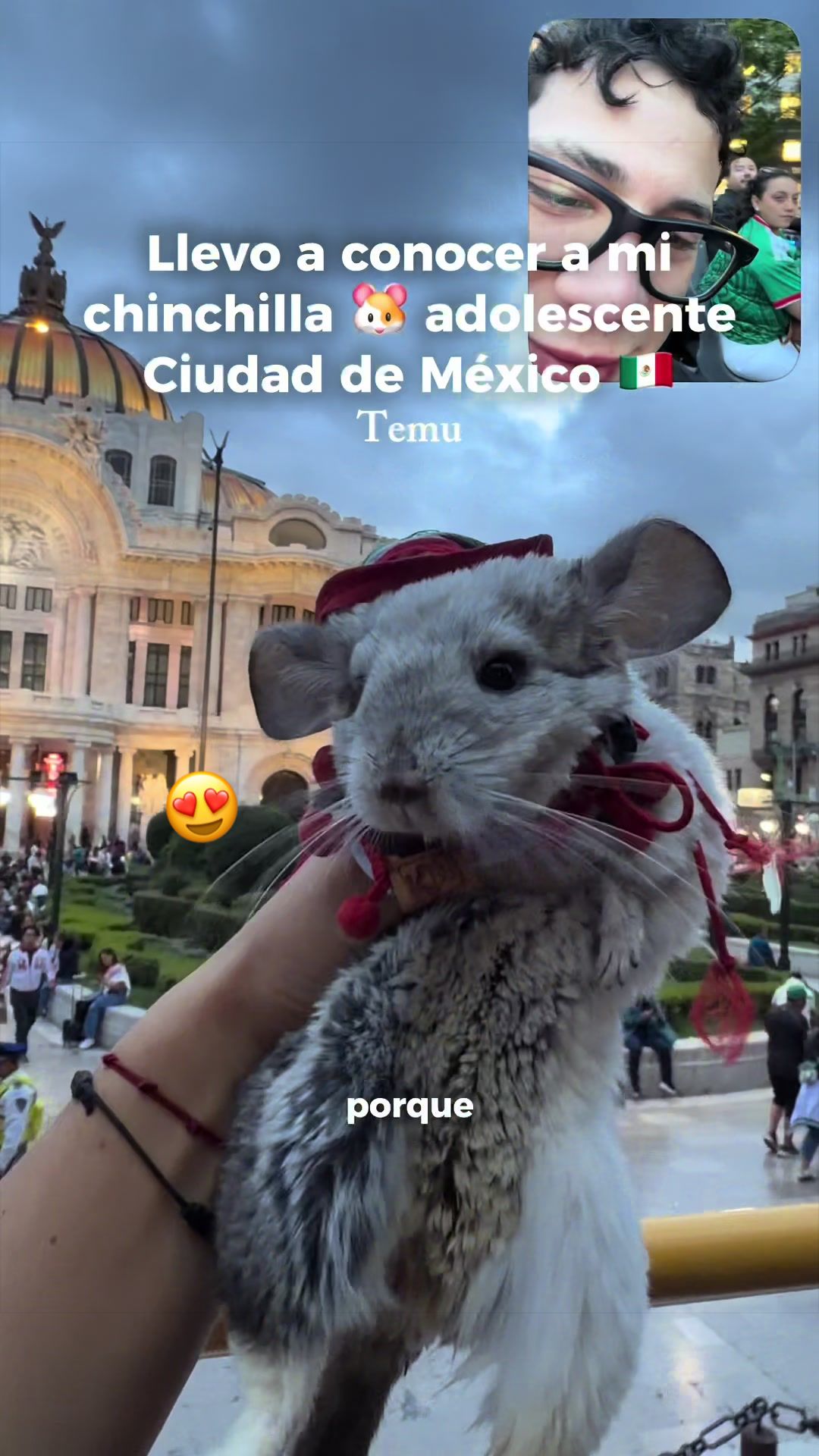 @Creador del exito