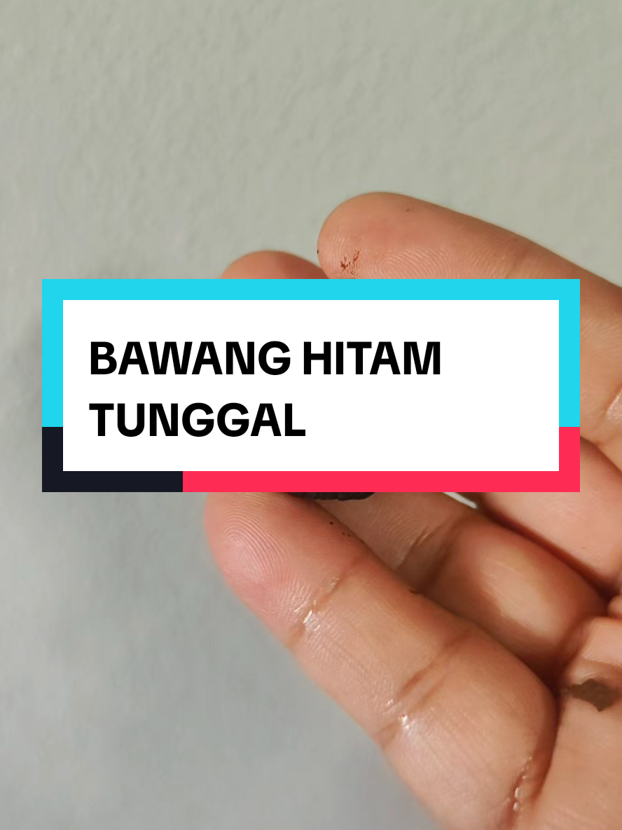 @simataduitan21